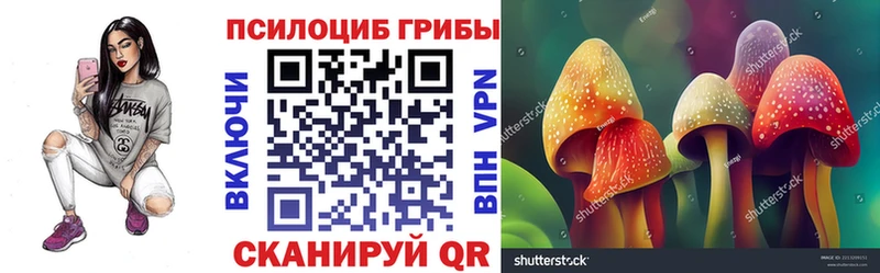 где можно купить   Духовщина  Псилоцибиновые грибы Psilocybine cubensis 